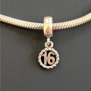 Pandora bracelet charm